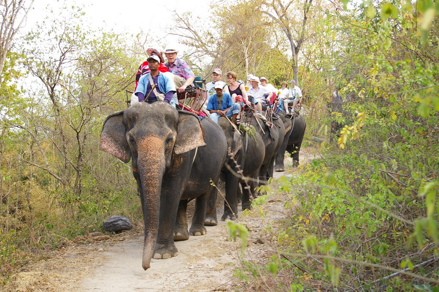 hutsadin elephant village hua hin